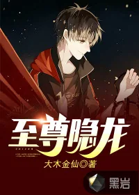 《至尊隐龙》小说封面
