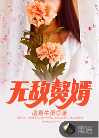 《无敌赘婿》小说封面