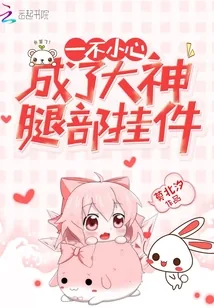 《一不小心成了大神腿部挂件》小说封面