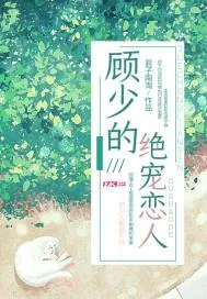 《顾少的绝宠恋人》小说封面