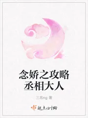 《念娇之攻略丞相大人》小说封面
