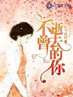 《不曾逝去的你》小说封面