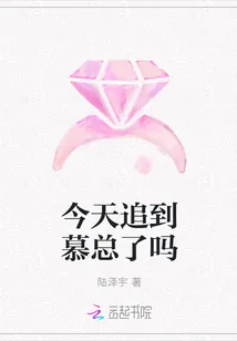 《今天追到慕总了吗》小说封面