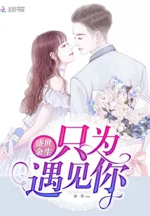 《盛世余生只为遇见你》小说封面