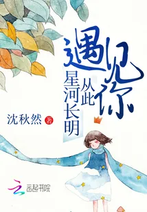 《遇见你从此星河长明》小说封面