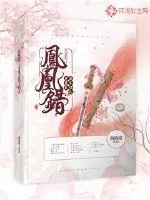 《凤凰错：寻觅天涯不归人》小说封面