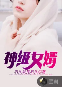 《神级女婿》小说封面
