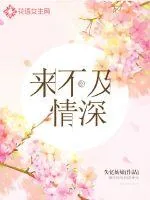 《来不及情深》小说封面