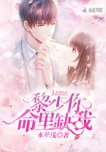《黎少你命里缺我》小说封面