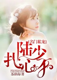 《名门私宠，陆少扎心不》小说封面