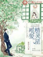《唯爱精灵星》小说封面