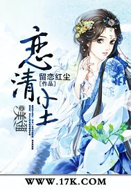 《恋清尘》小说封面