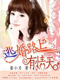 《逃婚路上有情天》小说封面