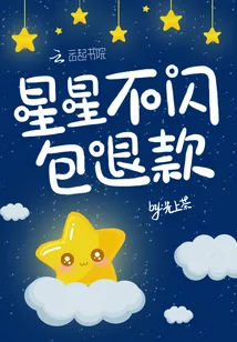 《星星不闪包退款》小说封面
