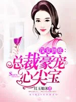 《深爱到底：总裁豪宠心尖宝》小说封面