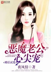 《婚后试爱，恶魔老公心尖宠》小说封面