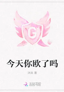 《今天你欧了吗》小说封面