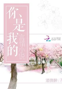 《你是我的言情小说》小说封面