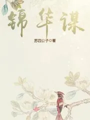 《锦华谋》小说封面