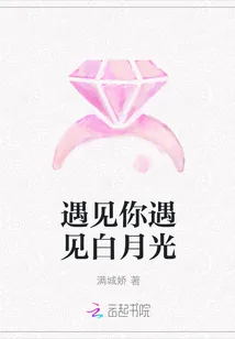 《遇见你遇见白月光》小说封面