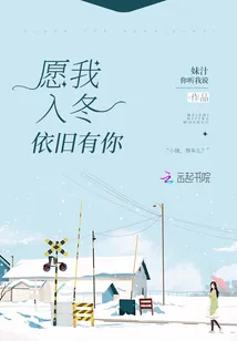 《愿我入冬依旧有你》小说封面