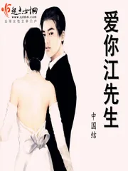 《爱你江先生》小说封面