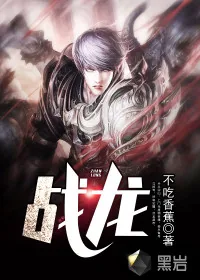 《战龙》小说封面