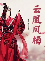 《云凰凤栖》小说封面