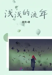 《浅浅的流年》小说封面