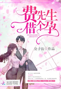 《费先生，借个孕》小说封面