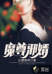 《魔尊邪婿》小说封面