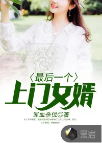 《最后一个上门女婿》小说封面