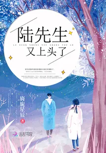 《陆先生又上头了》小说封面