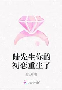 《陆先生你的初恋重生了》小说封面