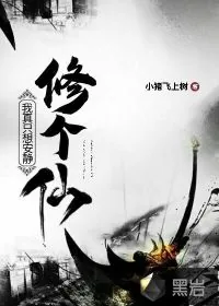 《我真只想安静修个仙》小说封面