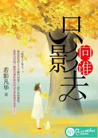 《只影向谁去》小说封面