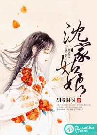 《沈家姑娘》小说封面