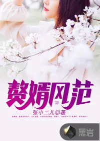 《赘婿风范》小说封面