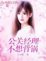 《公关经理不想背锅》小说封面