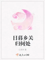 《日暮乡关归何处》小说封面