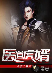 《医道虎婿》小说封面