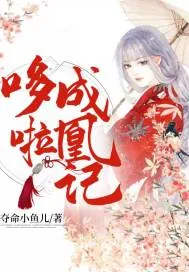《哆啦成凰记》小说封面