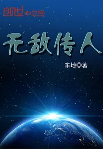 《无敌传人》小说封面