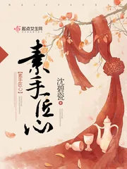 《素手匠心》小说封面
