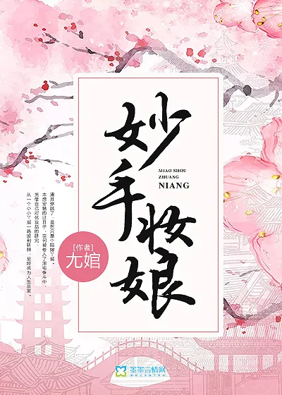 《妙手妆娘》小说封面