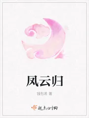 《凤云归》小说封面