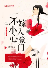 《一不小心嫁入豪门》小说封面