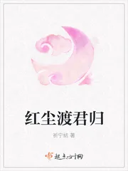《红尘渡君归》小说封面