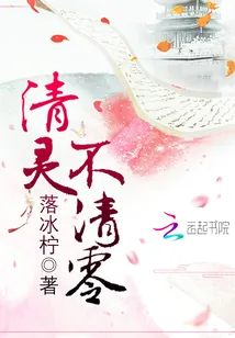 《清灵不清零》小说封面