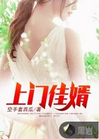《上门佳婿》小说封面